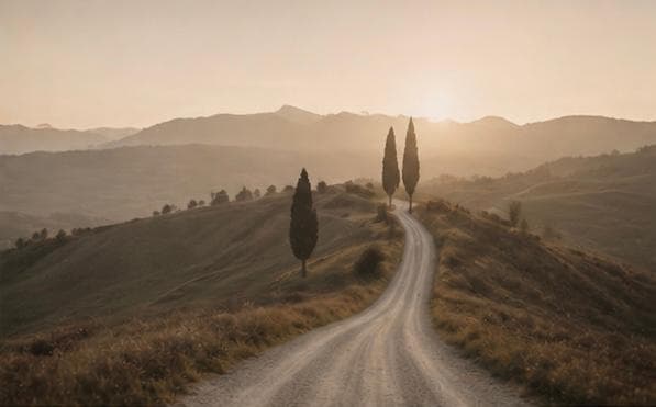 Life Transitions & Relocation